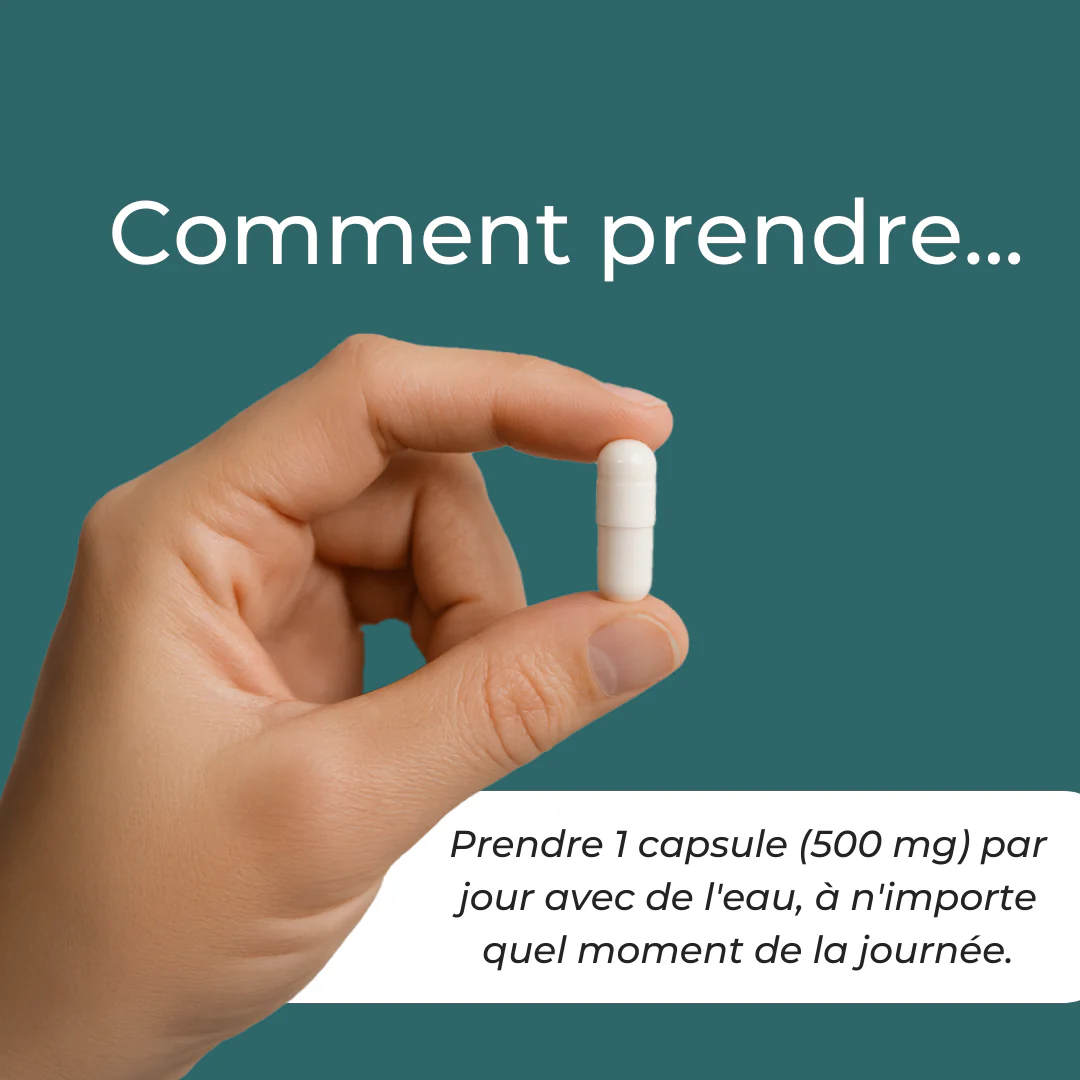 Miniature 7